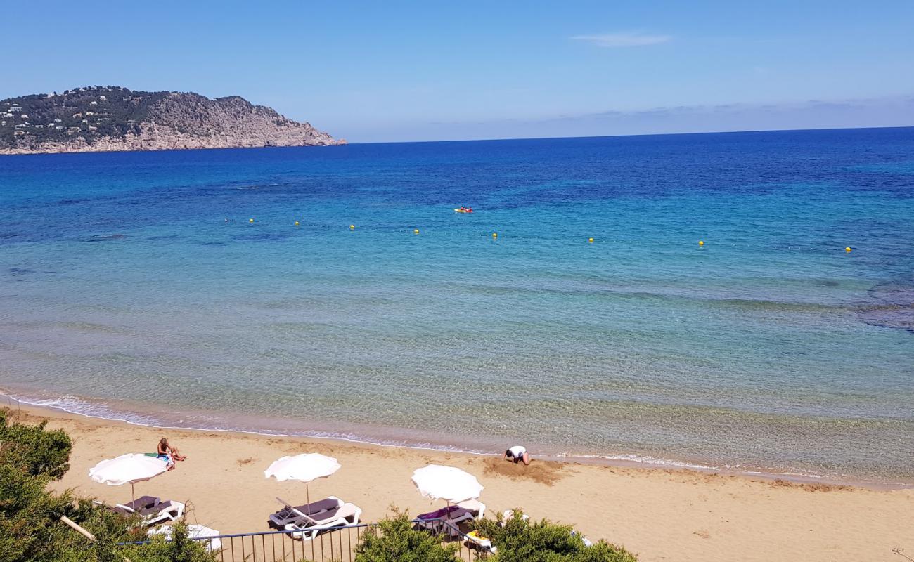 Photo de Platja des Figueral avec sable fin et lumineux de surface