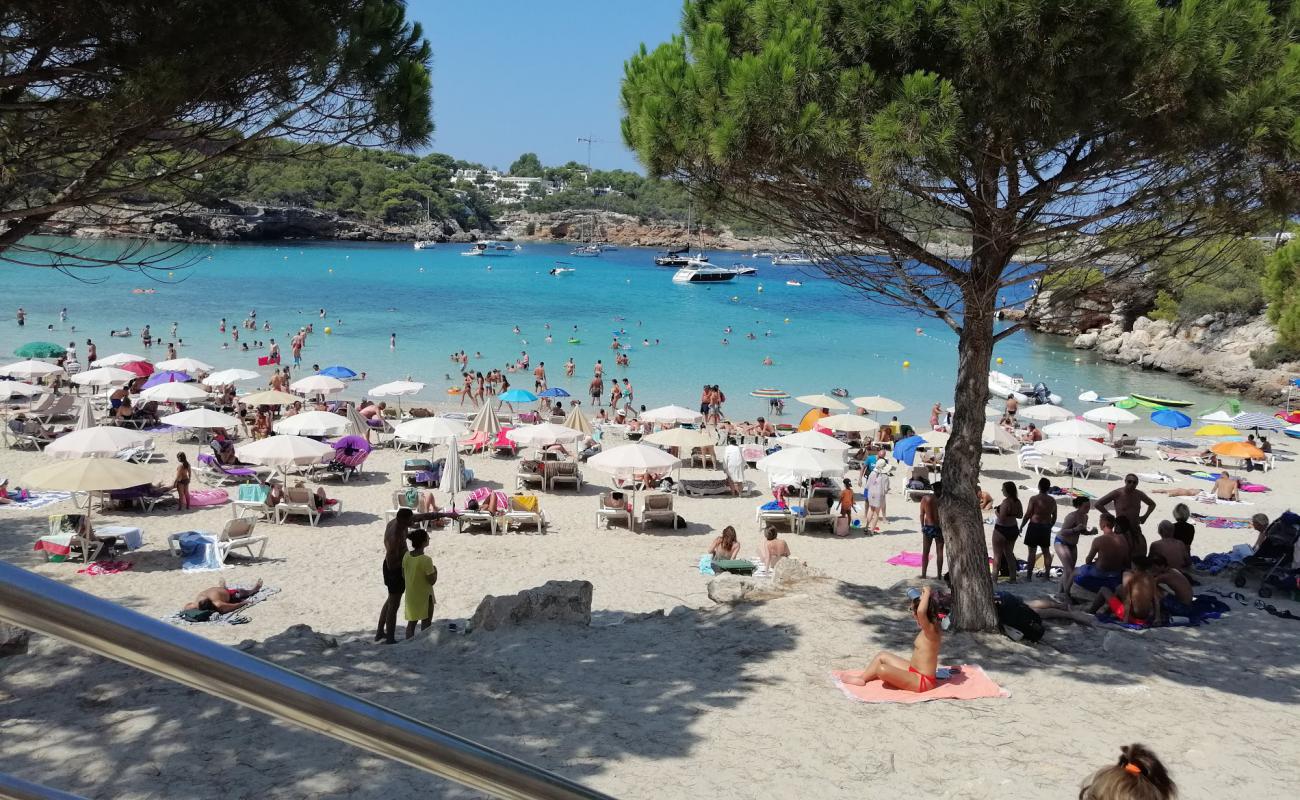 Photo de Plage de Portinatx avec sable fin et lumineux de surface