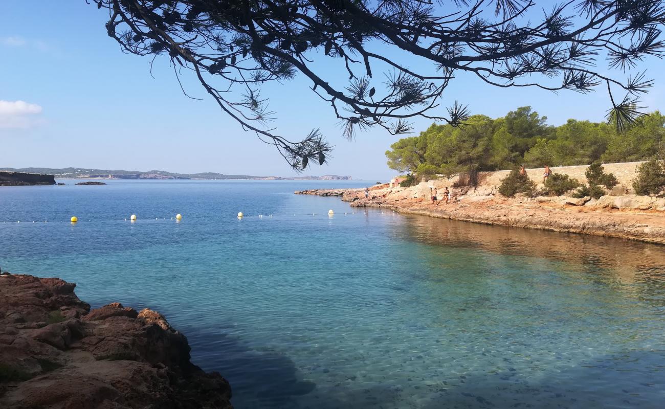 Photo de Cala Gracioneta avec sable fin et lumineux de surface