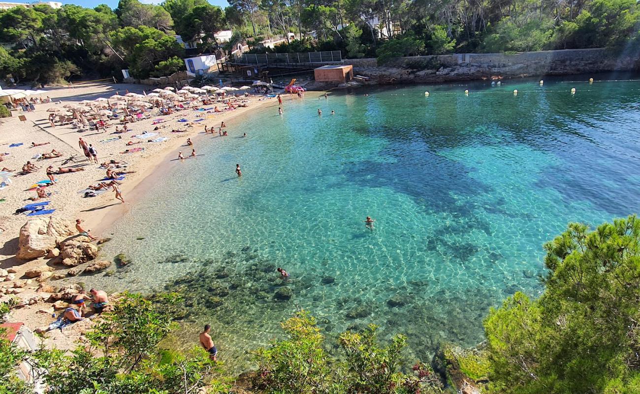 Photo de Cala Gracio avec sable fin et lumineux de surface