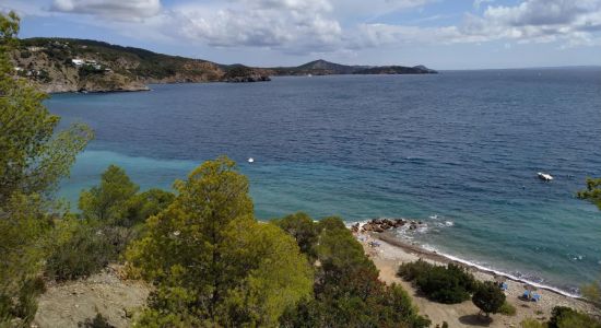 Cala des Cubells