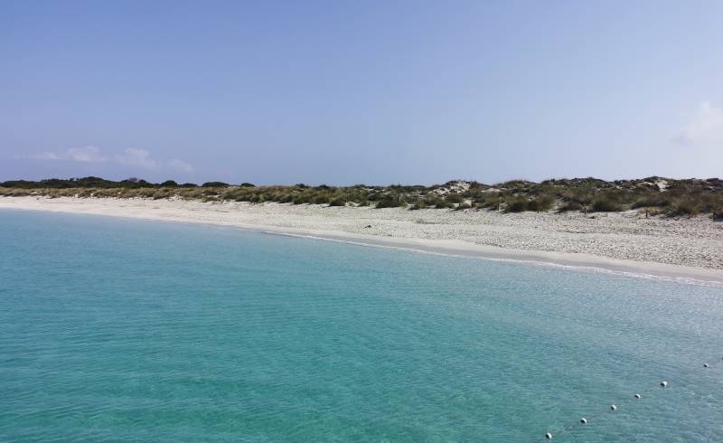 Photo de Platja Es Cavallet - Es Cavallet Beach avec sable fin et lumineux de surface