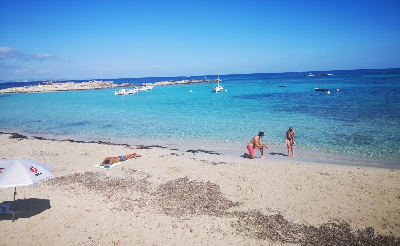 Photo de Platja de la Torreta avec sable fin blanc de surface