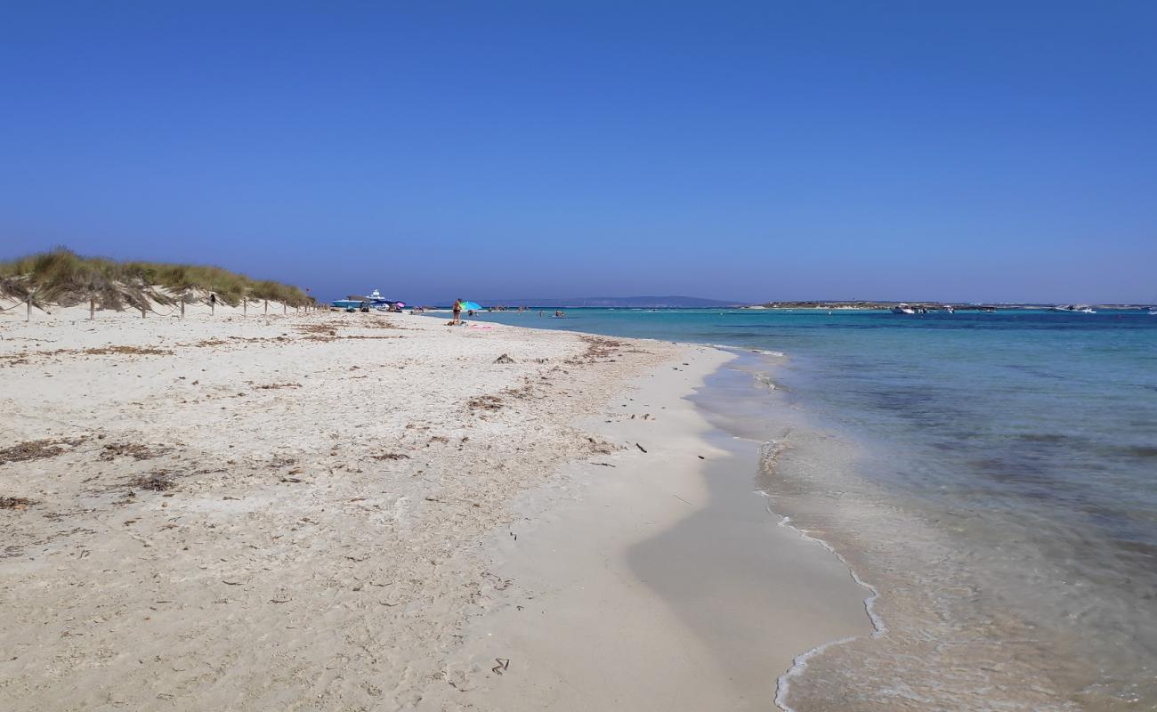 Photo de Platja de S'Alga avec sable fin blanc de surface