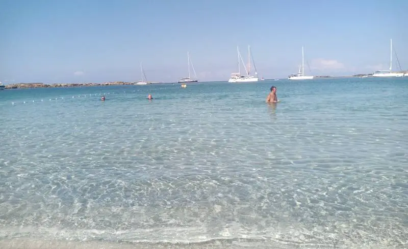 Photo de Punta des Carritx avec sable fin blanc de surface