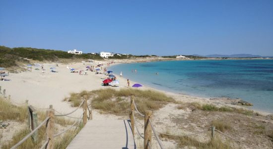 Playa de Ses Canyes