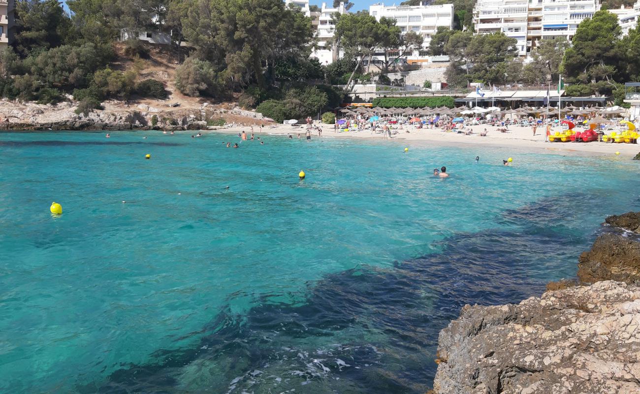 Photo de Plage d'Illetes avec sable fin et lumineux de surface