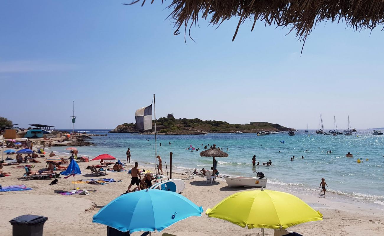 Photo de Cala Xinxell avec sable fin et lumineux de surface