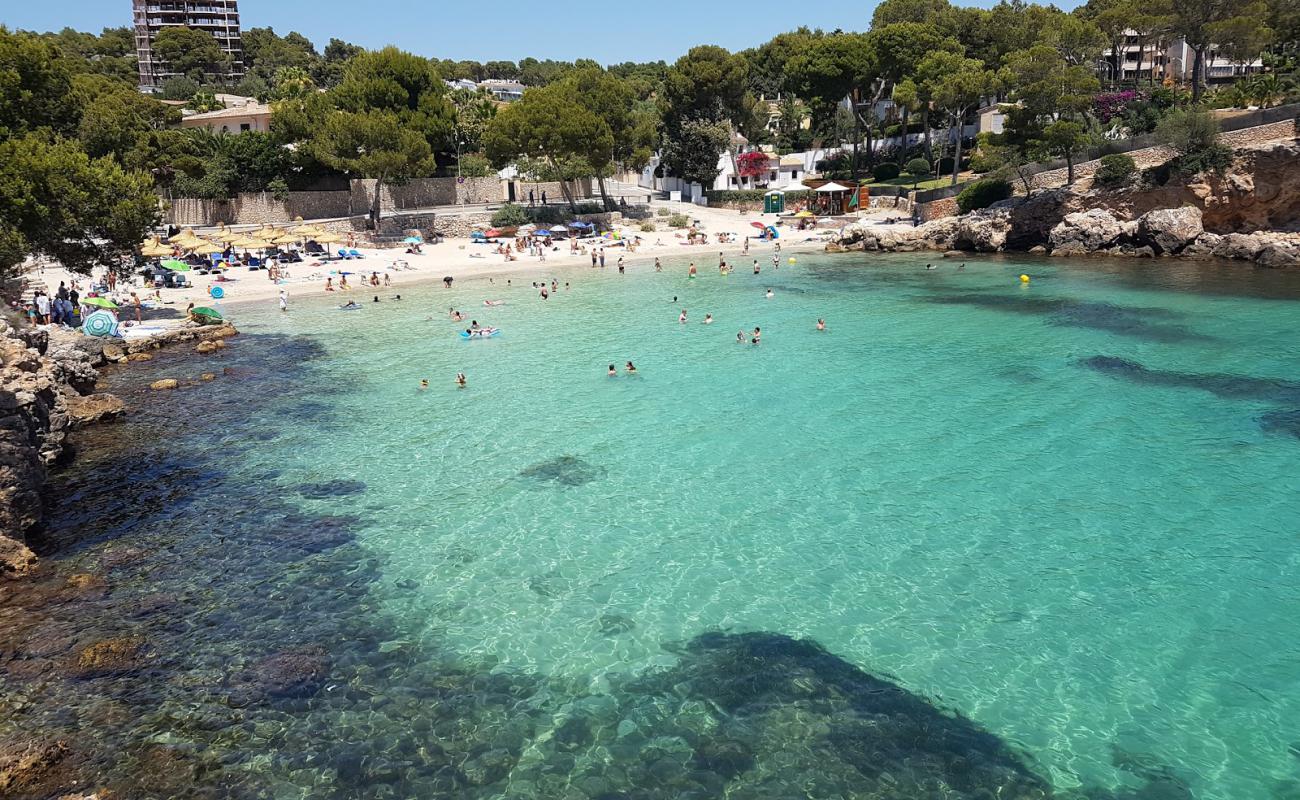 Photo de Caleta de Portals Nous avec sable fin et lumineux de surface