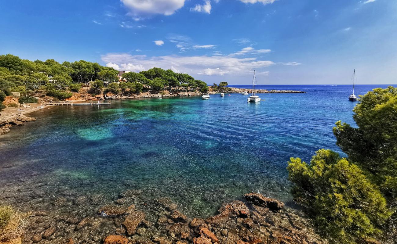 Photo de Platja de Mardavall avec roches de surface