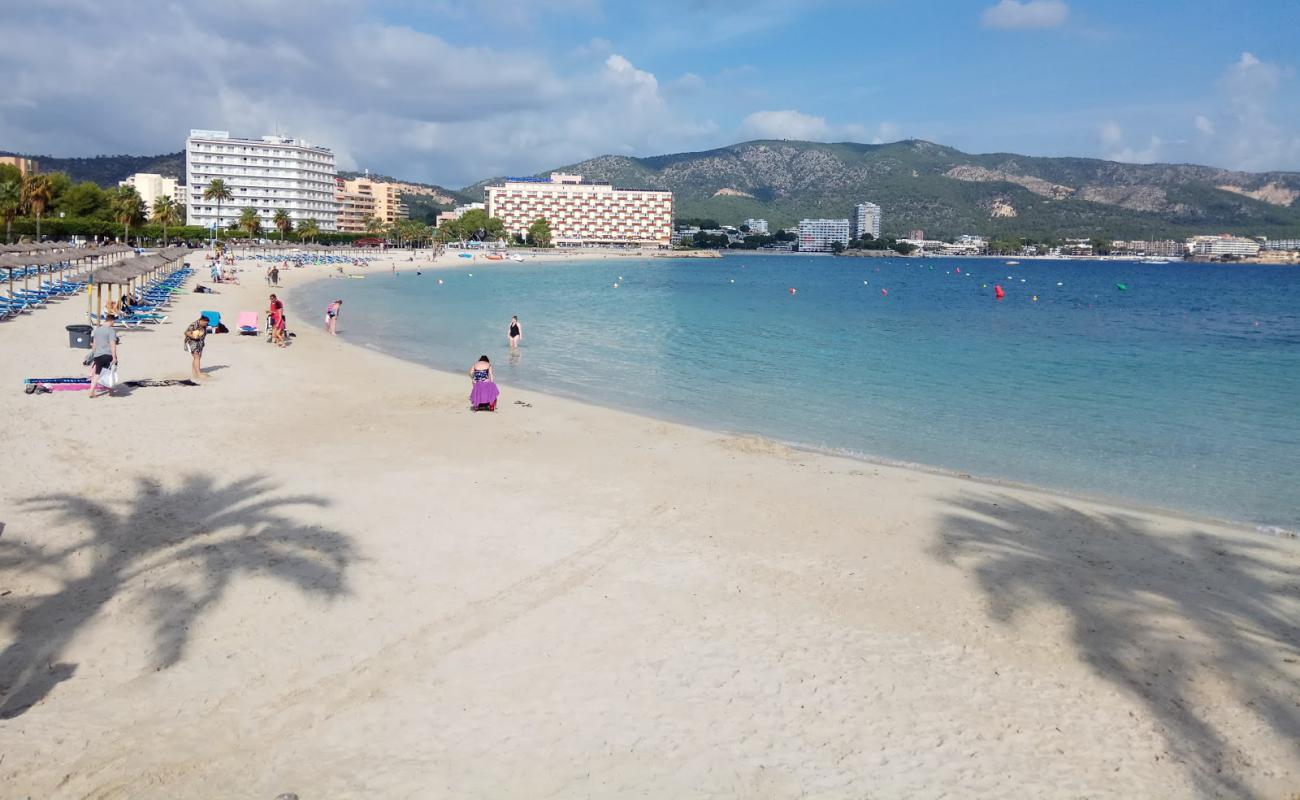 Photo de Plage de Palmanova avec sable fin et lumineux de surface