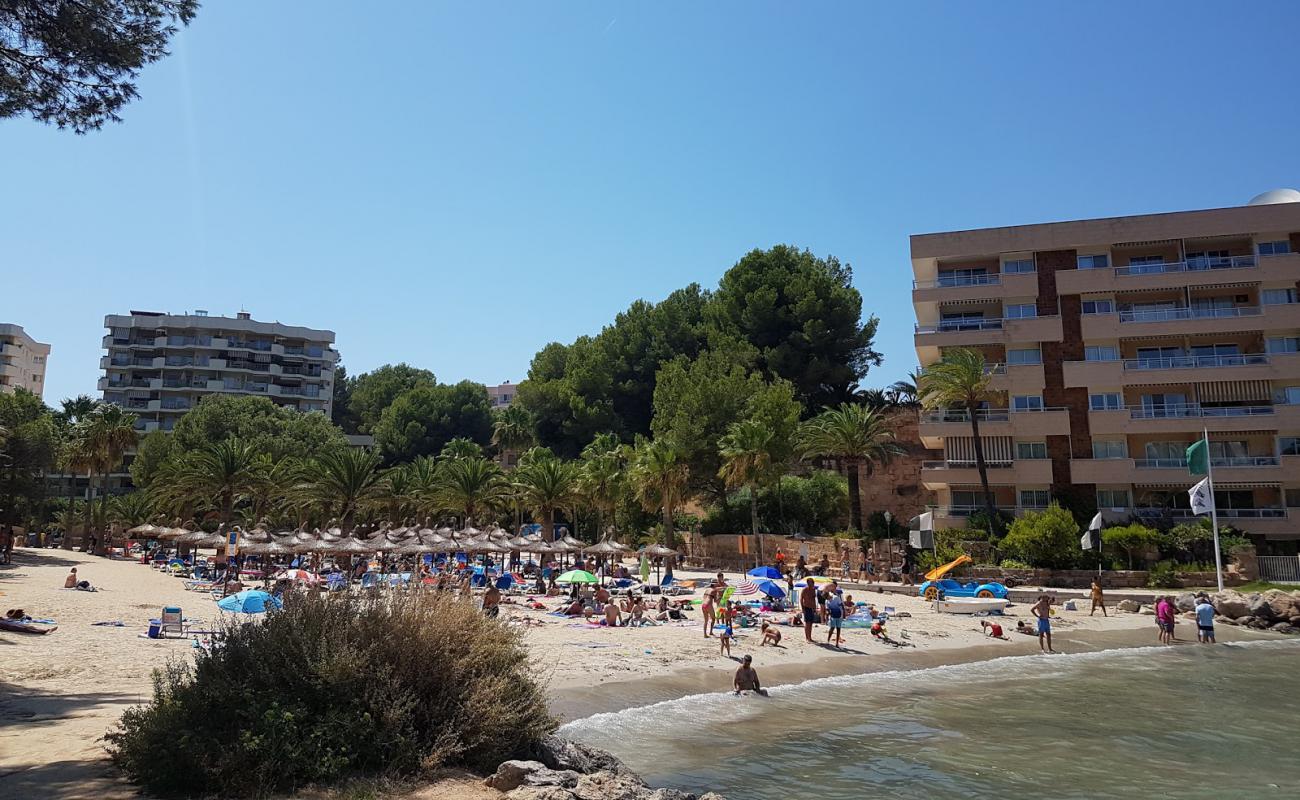 Photo de Playa Cala Vinyes avec sable fin et lumineux de surface