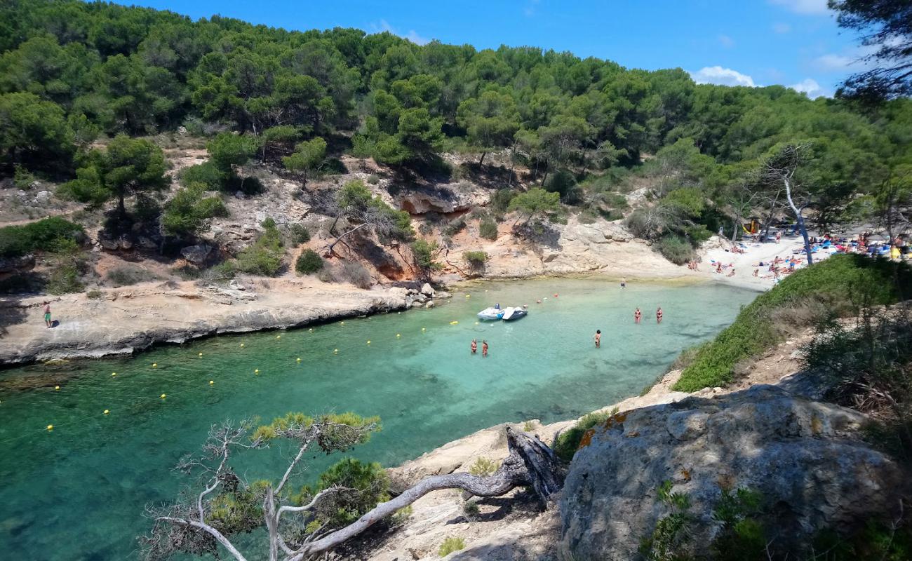 Photo de Cala Cap Falco avec sable fin et lumineux de surface