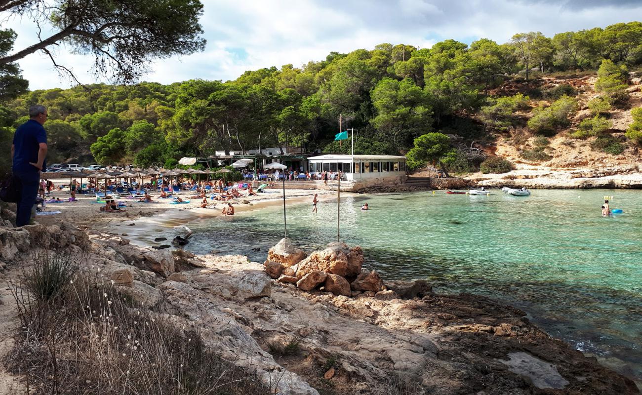 Photo de Cala Portals Vells avec sable fin et lumineux de surface