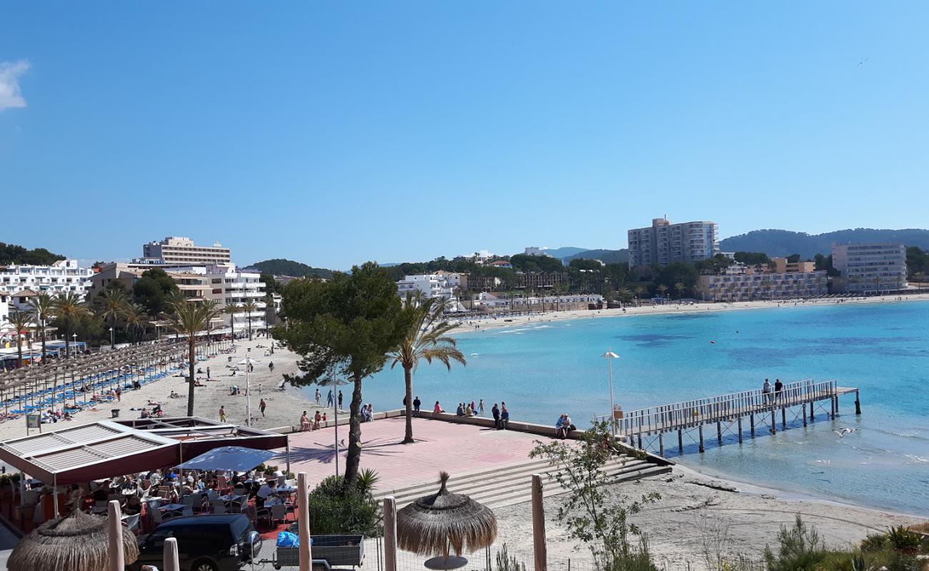 Photo de Platja Gran de Tora avec sable beige fin de surface