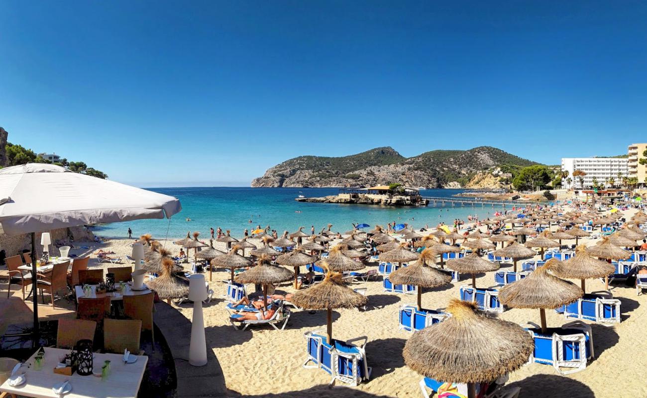 Photo de Camp De Mar beach avec sable beige fin de surface