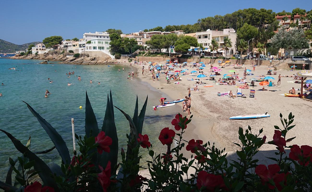 Photo de Platja de Sant Elm avec sable fin et lumineux de surface