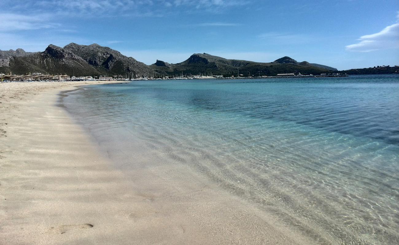 Photo de Plage de Pollença avec sable beige fin de surface