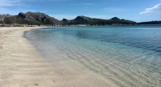 Plage de Pollença