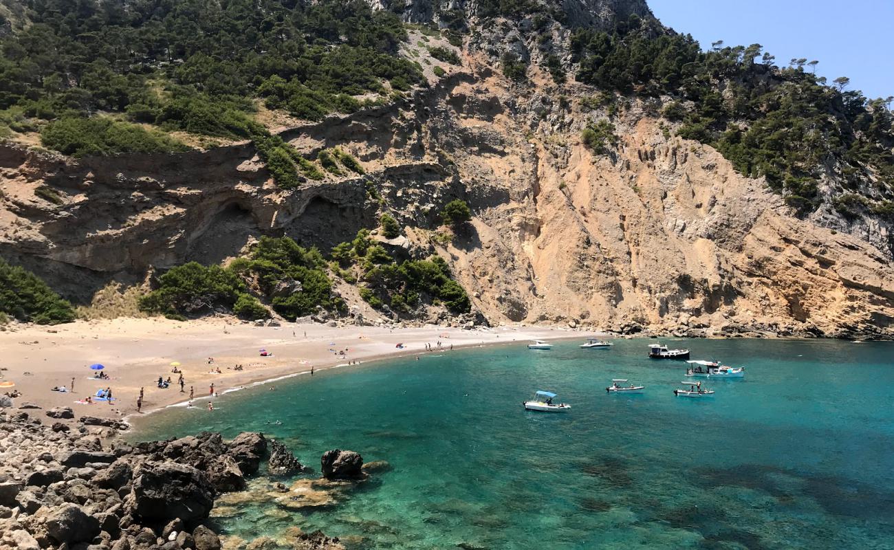 Photo de Playa del Coll Baix avec sable brillant et rochers de surface