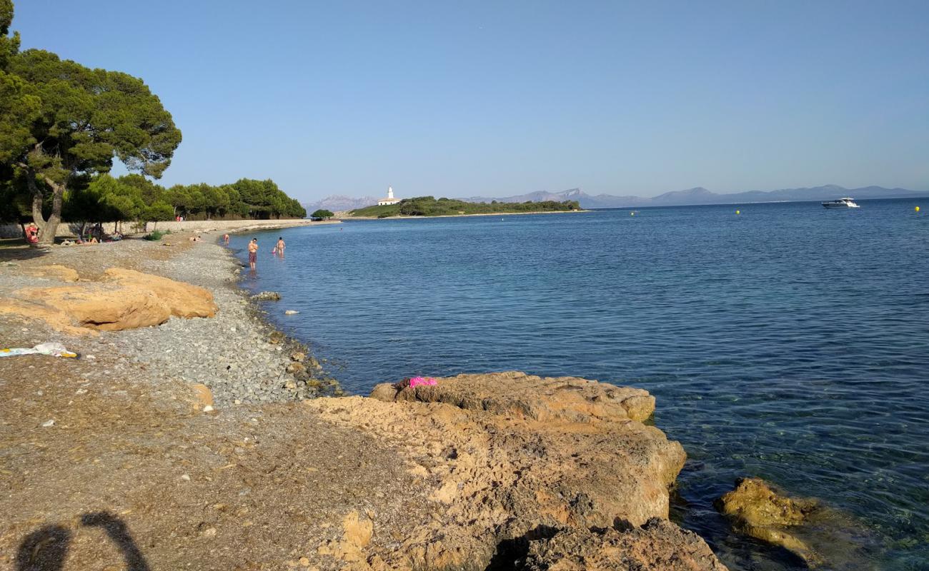 Photo de Platja d'Alcanada avec caillou gris de surface