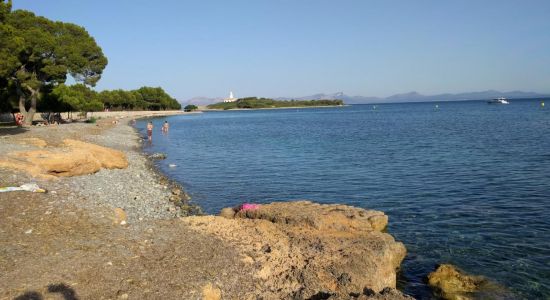 Platja d'Alcanada