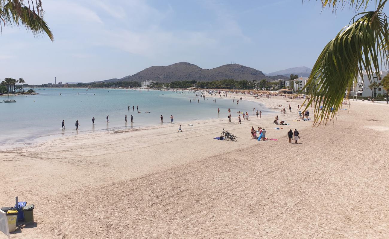 Photo de Plage d'Alcudia avec sable beige fin de surface