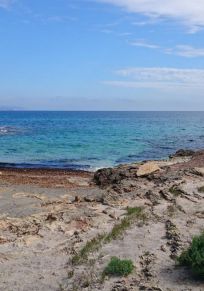 s'Estanyol
