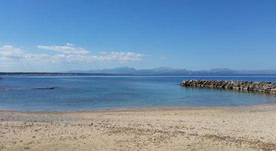 Platja Colonia