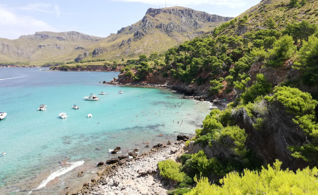 Photo de Cala Na Clara avec sable lumineux de surface