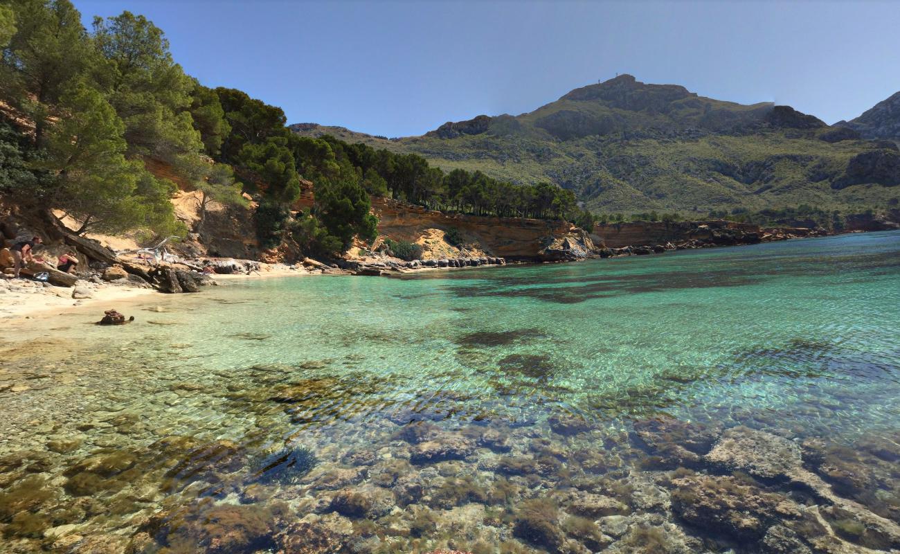 Photo de Platja des Calo - endroit populaire parmi les connaisseurs de la détente