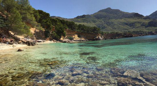 Platja des Calo