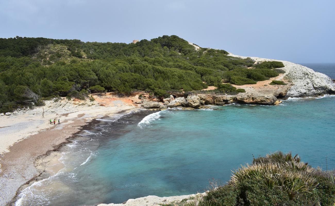 Photo de Sa Font Salada avec sable beige & galets de surface