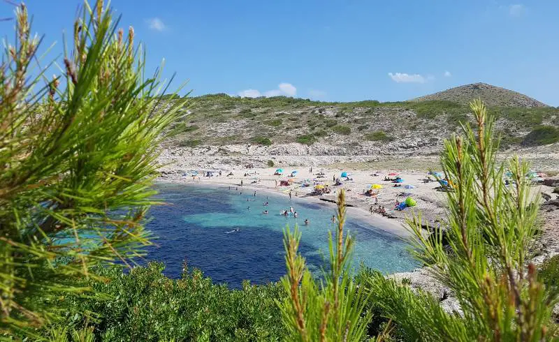 Photo de Cala Mitjana avec sable beige de surface