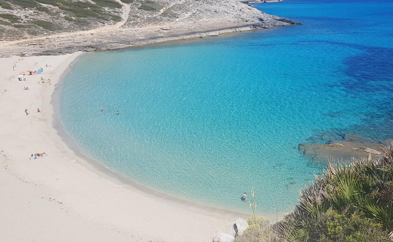 Photo de Cala Torta avec sable beige fin de surface