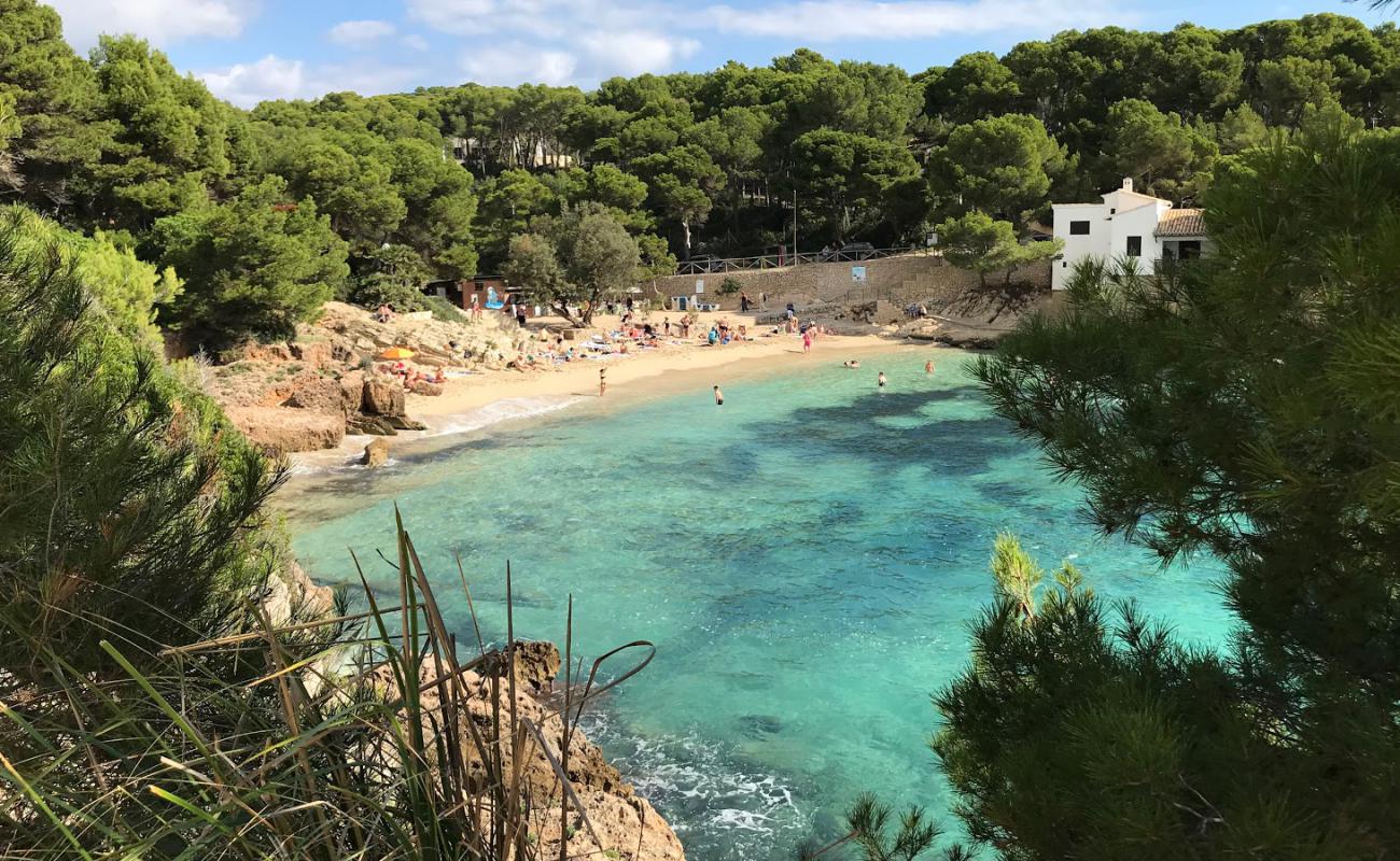 Photo de Plage de Cala Gat avec sable beige fin de surface