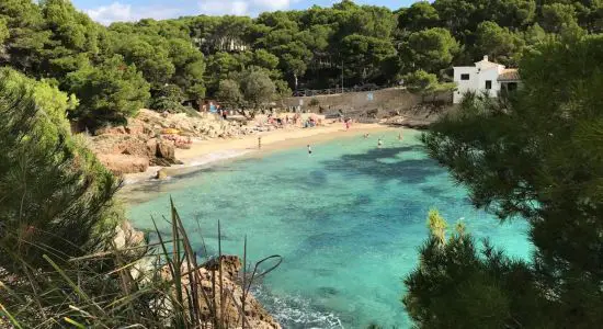 Plage de Cala Gat