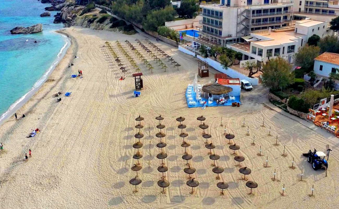 Photo de Cala Son Moll avec sable beige fin de surface