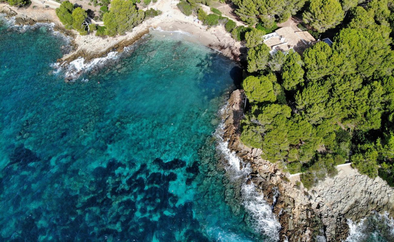 Photo de Cala Font De Sa Cala II avec sable lumineux de surface