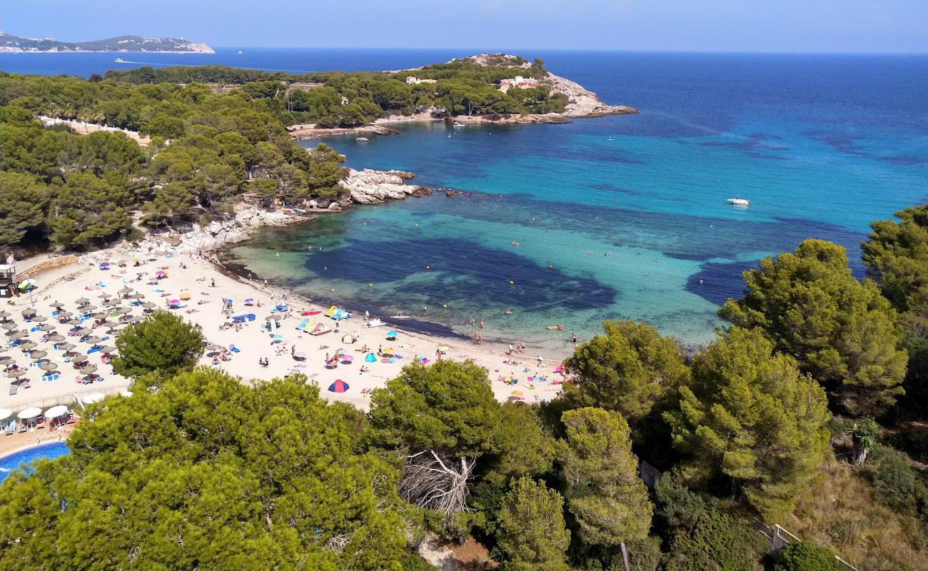 Photo de Cala Font De Sa Cala avec sable fin et lumineux de surface