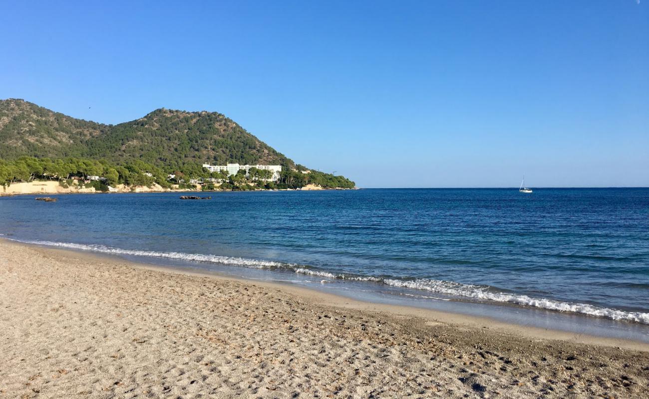 Photo de Platja de Sa Marjal avec sable beige de surface