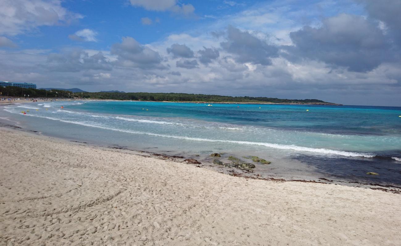 Photo de Playa de Sa Coma avec sable fin et lumineux de surface