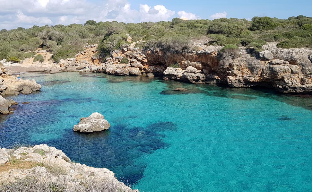 Photo de Cala Petita avec sable fin et lumineux de surface