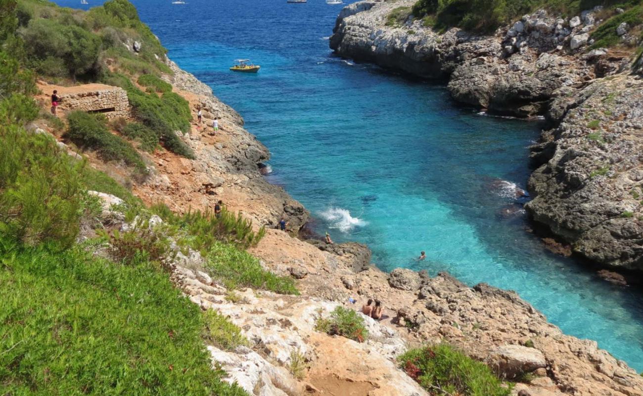 Photo de Cala Murta avec sable beige & pierres de surface