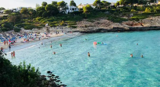 Plage de Cala Mandia