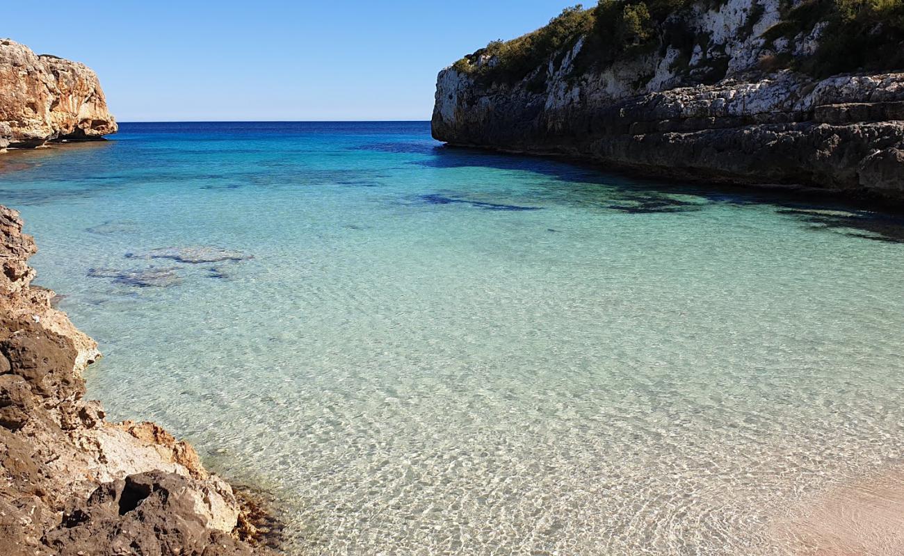 Photo de Beach Cala Sequer avec sable fin et lumineux de surface