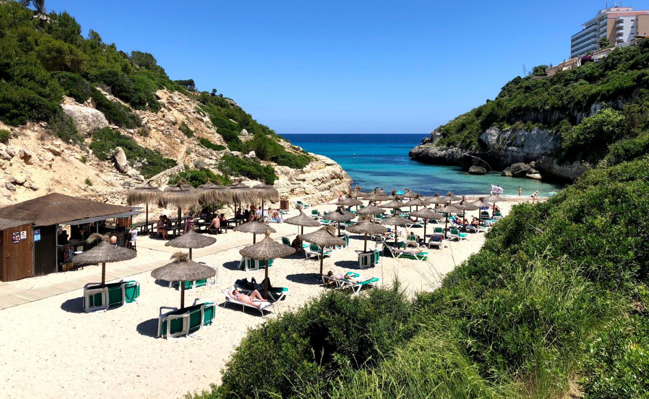 Photo de Beach Cove avec sable beige fin de surface