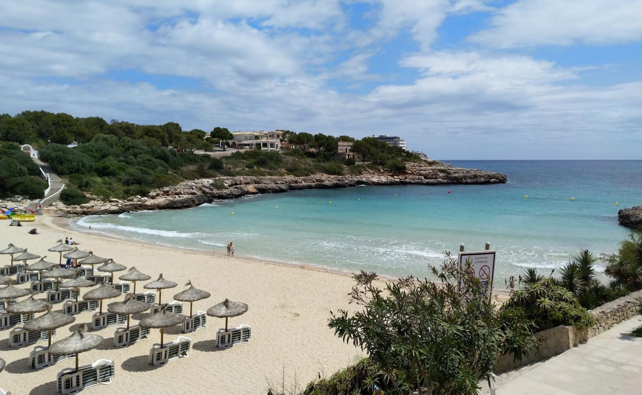 Photo de Plage de Cala Marcal avec sable fin et lumineux de surface