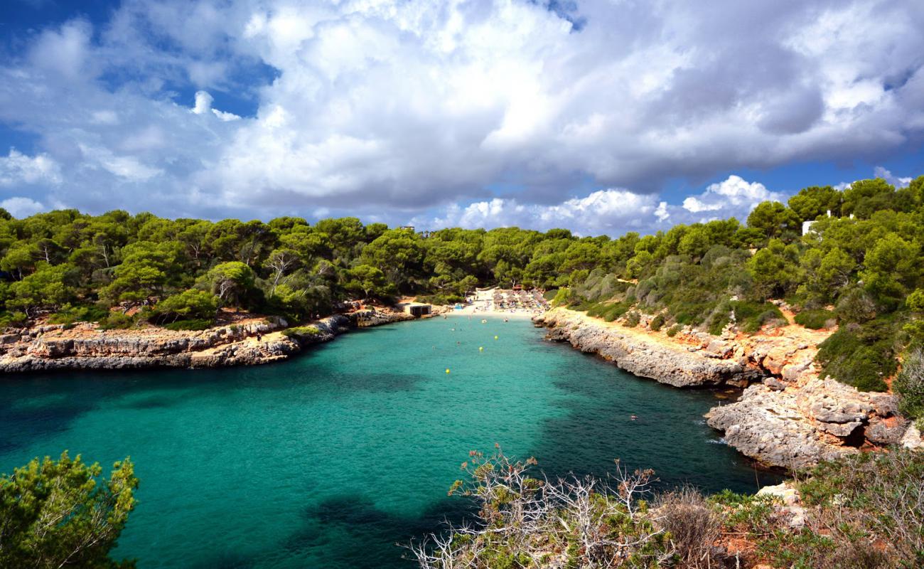 Photo de Plage de Cala Sa Nau avec sable fin et lumineux de surface