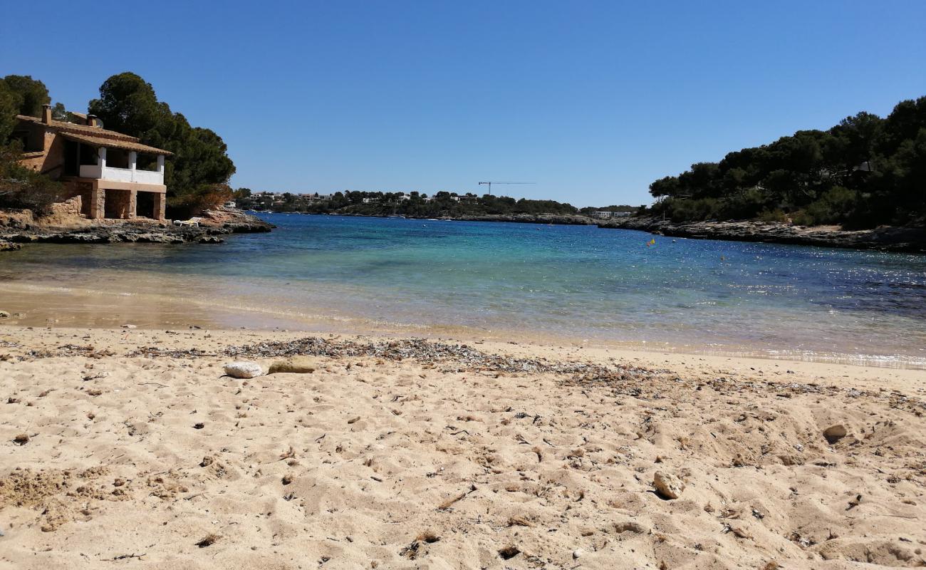 Photo de Calo de sa Torre avec sable beige fin de surface